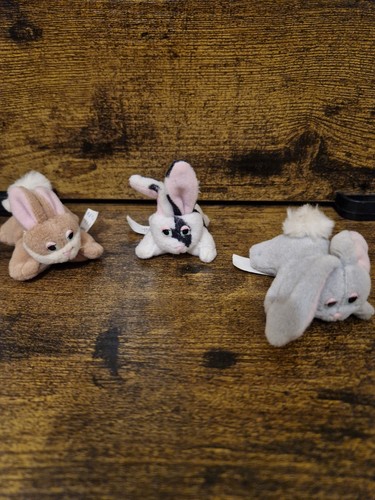 Pound puppies bunnies rabbits - pound,