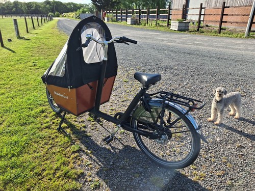 Bakfiets short cargo - short,