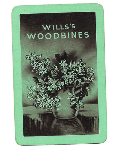 Will woodbines single - will's, woodbines..