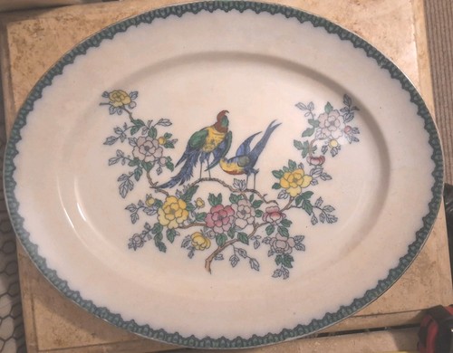 Colourful bird floral - colourful,