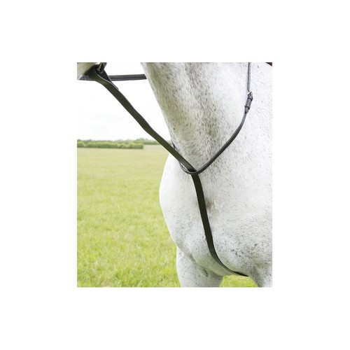Shires velociti gara - shires,