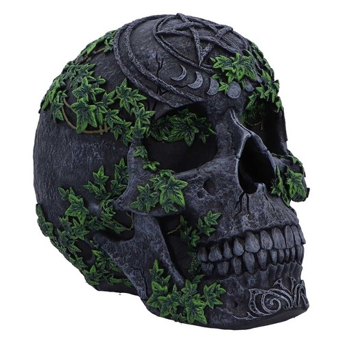 New skull aged pentagram - new,