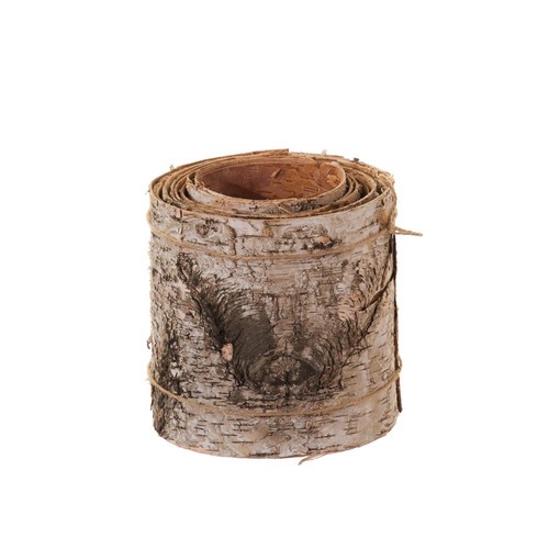 Birch tree bark - tree, roll