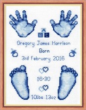 Blue Baby Boy Birth Sampler