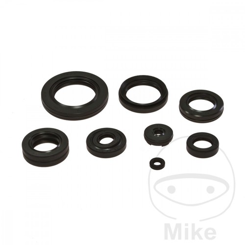Engine shaft seal set - shaft,