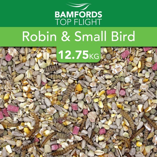 Bamfords robin small - small, bird