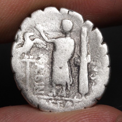 Roman denarius serratus 81bc - denarius,