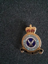 RAF Fighter Squadron 151 Pin