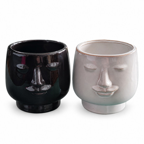 Ceramic face plant - ceramic,