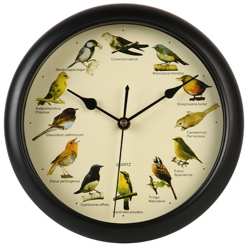 Singing bird wall clock - bird,