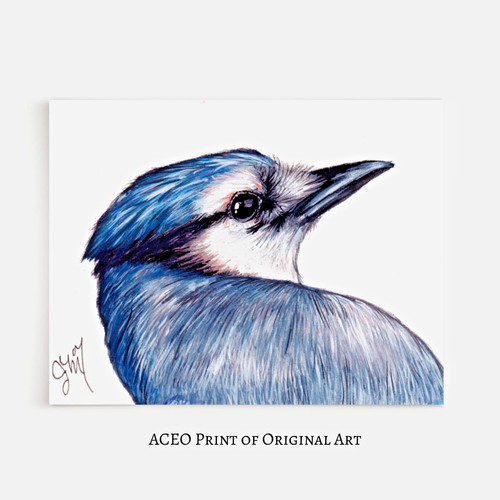 Aceo print original - of,