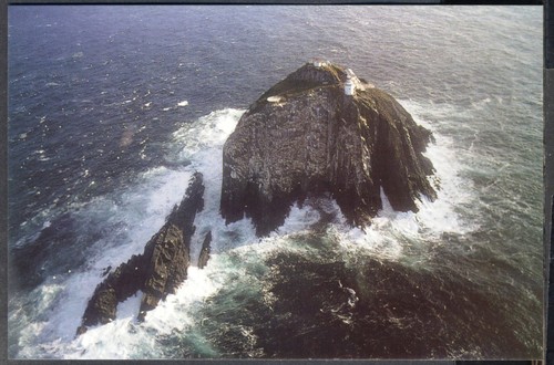 Modern postcard bull rock - bull,