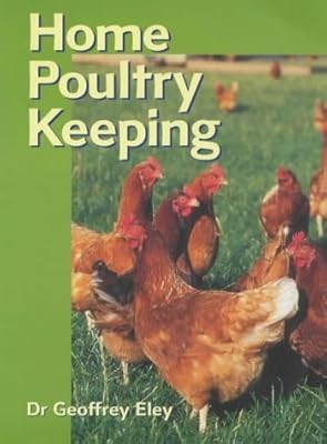 Home poultry keeping - poultry, keeping,