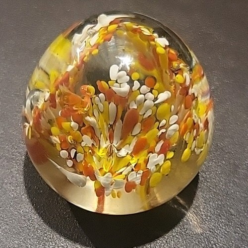 Glass fish aquarium - glass,
