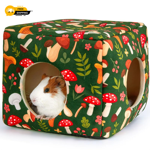 Guinea pig hideout - guinea,