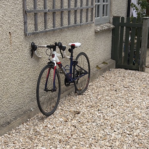 Inch wiggins team - 24-inch, sky