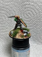25mm 28mm well painted Celt