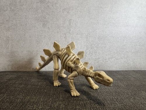 Stegosaurus dinosaur skeleton - stegosaurus,