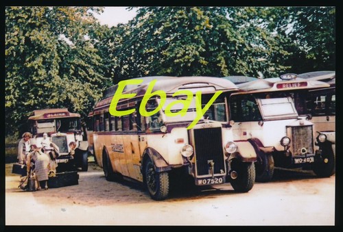 Bus photo red - ,
