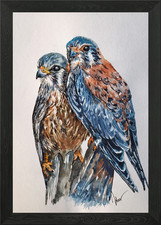 Love birds Framed Wall Art