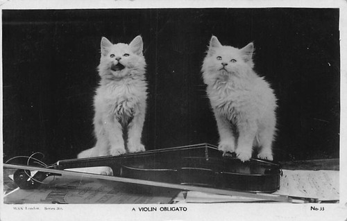 Family history postcard - history,