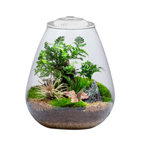 Bio bowl and light 200 - bio,