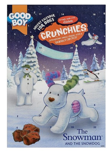 Good boy the snowman - boy,