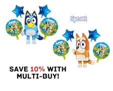 Bluey Balloons Birthday Party