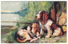 Tuck's Artist Drawn Postcard Sussex Spaniel and Beagle Hound With Rod & Gun Dogs