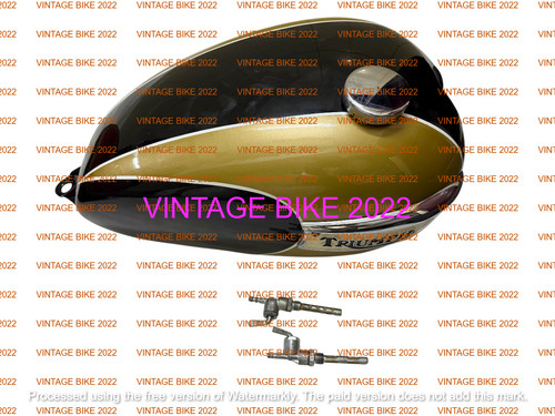 Triumph t150 golden black - t150,