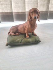 Beautiful Dachshund  Sitting On Green Cushion