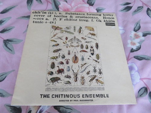 Chitinous ensemble - ,
