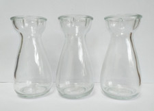 3 Clear Glass Crocus Bulb