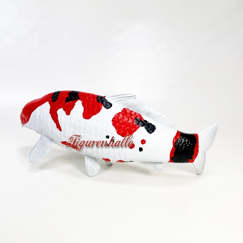 Showa sanshoku koi carp - carp, fish