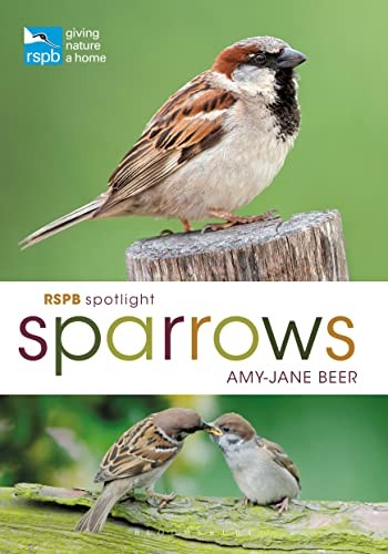 Rspb spotlight sparrows - rspb,