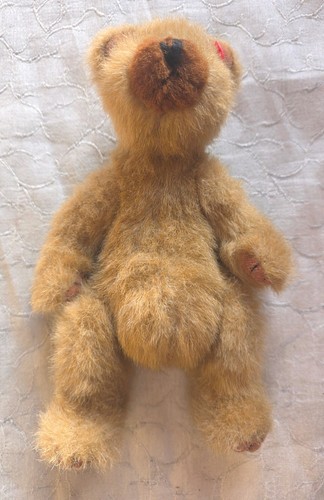 Pot belly bear - ty,