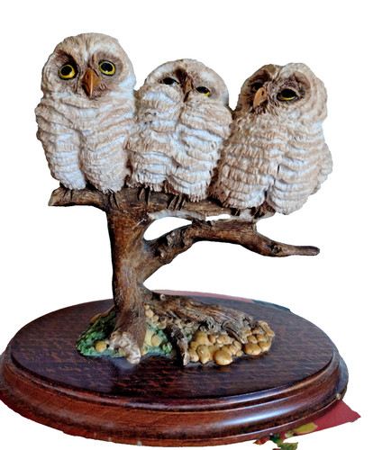 Country artists baby - baby, owl