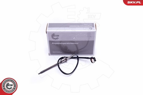 Esen skv 30skv310 sensor - skv,