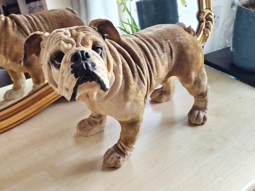 Vintage english bulldog - english,