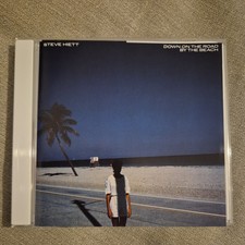 Steve Hiett - Down On The Road