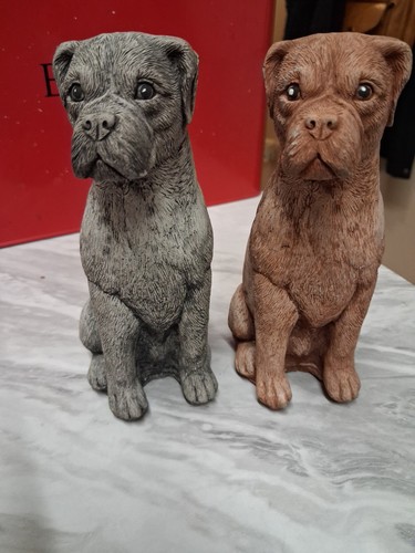 Pair inch boxer - boxer, dog