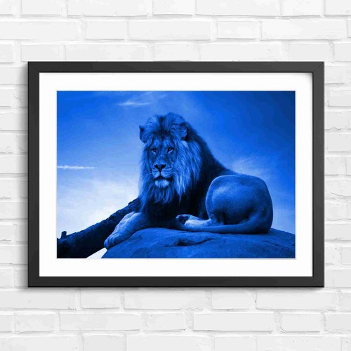 Majestic male lion - majestic, portrait
