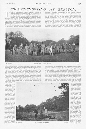 Beeston nottinghamshire covert - beeston,