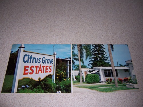 1970s citrus grove - 1970s, estates