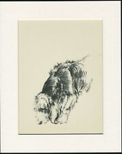 OTTERHOUND LOVELY 1930'S DOG ART PRINT by KF BARKER READY MOUNTED