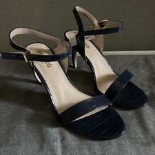 Kurt Geiger Navy Shoes