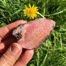 Rhodochrosite Slice Slab Semi Polished Crystal Mineral Specimen Raw Natural