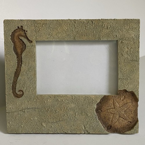 Seahorse sand dollar frame - 3, x