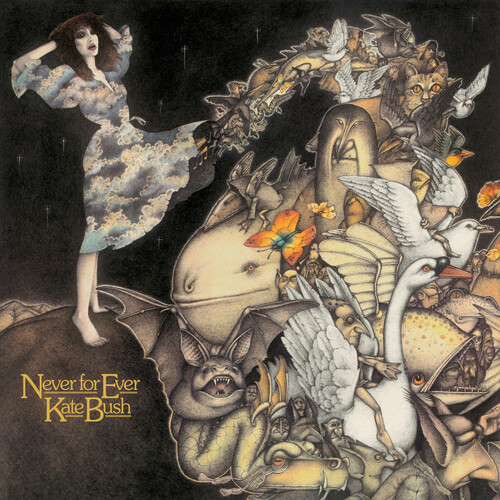 Kate bush never - bush, :