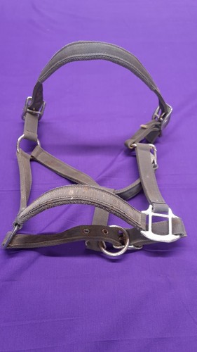 Schockemohle sports grey - grey, cob